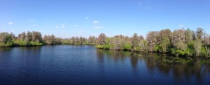 Lettuce Lake State Park, Tampa, FL; Leah R Johnson